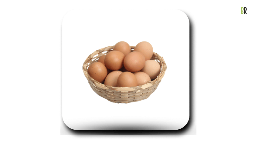 Egg selling business guide 